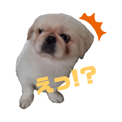 suzu_20190718150256