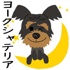 愛犬家の毎日スタンプ ヨークシャテリア Line スタンプ Line Store 愛犬家の毎日スタンプ ヨークシャテリア Line スタンプ Line Store