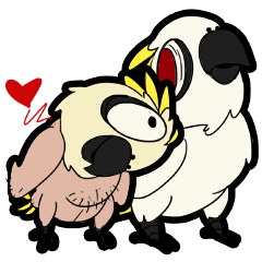 Oliver & Lucy cockatoo birds