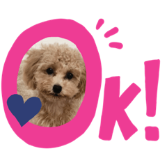 Roko_20190719001412