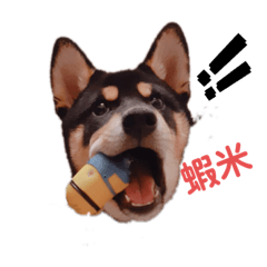 My屁孩