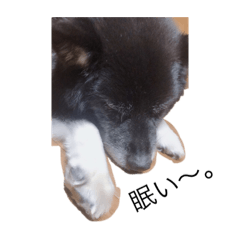 moco_20190719024015