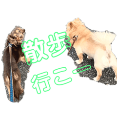 MT_20190719030851