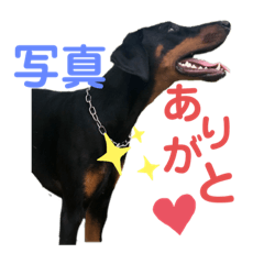 ayumi_20190719142914