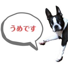 ume_20190719