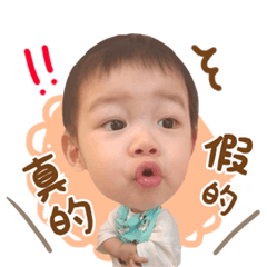 可愛小雞寶