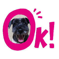 chiitan_20190719151904