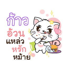 KAO Seenuan cat_S