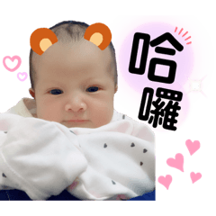 胖胖小豬妹2(瑄瑄)