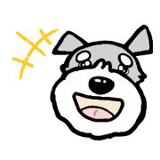 schnauzer_20190719133457