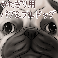 Katagiri Pug and Bulldog
