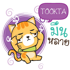 TOOKTA Sesa cat_E e