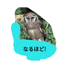 asuka_20190719175557