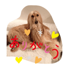 sayuri_20190719193616