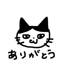 black and white cat.He name is KAI.