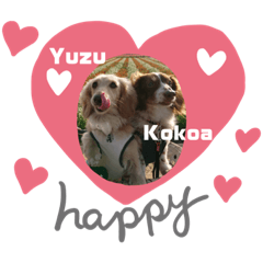 sally_20190719154650