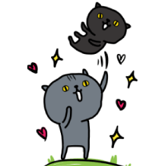 Gray cat and black cat