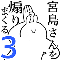 Rabbitss feeding3[MIYAJIMA-san]