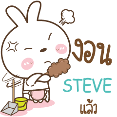 STEVE Little Rabbit Love Bear e