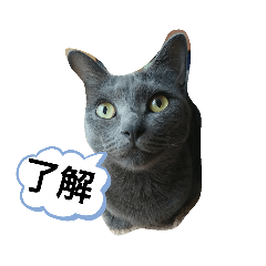 rie_20190720092752