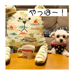 moka_20190720095427