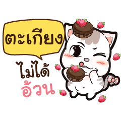 TAKIENG A Lazy Pussycat