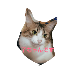 miwa_20190720115256