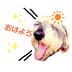 KY_20190720135250