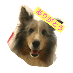 Ayumi_20190720123025