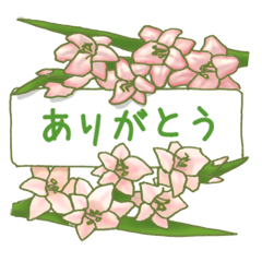 きれいなお花で伝える日常会話 Line スタンプ Line Store