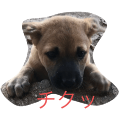 TAKE_20190720193823