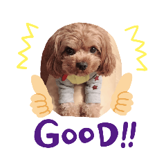 HIDE_20190720234220