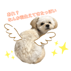 moco_20190720233203