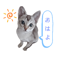 nozomi_20190721001953