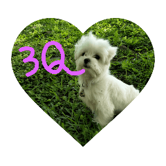 嘻犬