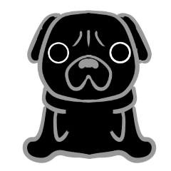 Black Pug Co-Tsubu