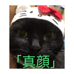 aKira_20190721010011