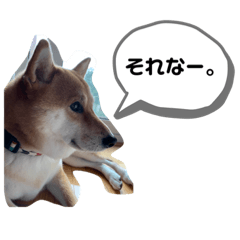 misato_20190721112737