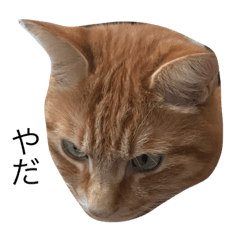 MARINA_20190721143218