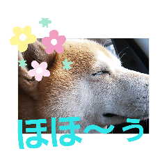 ponta_20190721133830