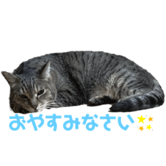 aska_20190721094635
