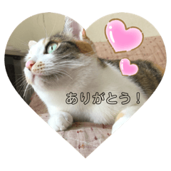kurosuke_20190721165426