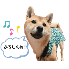 yukina_20190721194244