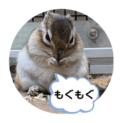 THANK YOU 。
