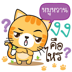MOOWANN Sesa cat_S