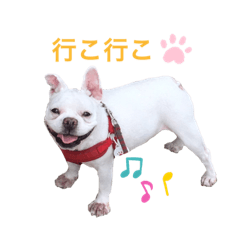 frenchbull.YUZU