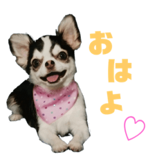 HIROKI_20190721224942