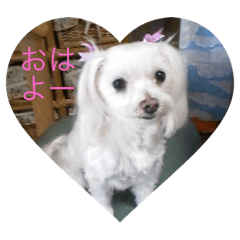 kazumi_20190721231852