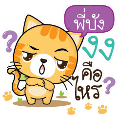 PIBUNG Sesa cat_S