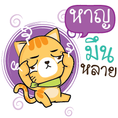 HAN2 Sesa cat_E